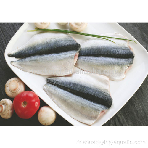 Filets de maquereau de poisson congelé chinois